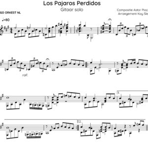 Bladmuziek: Los Pajaros Perdidos Gitaarsolo